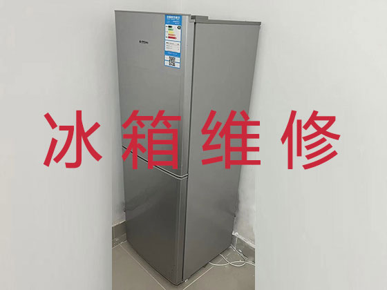 台州电冰箱维修